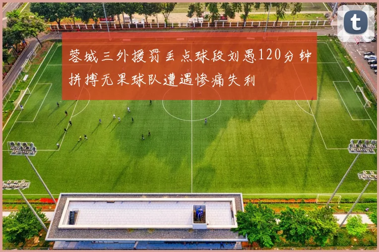 蓉城三外援罚丢点球段刘愚120分钟拼搏无果球队遭遇惨痛失利